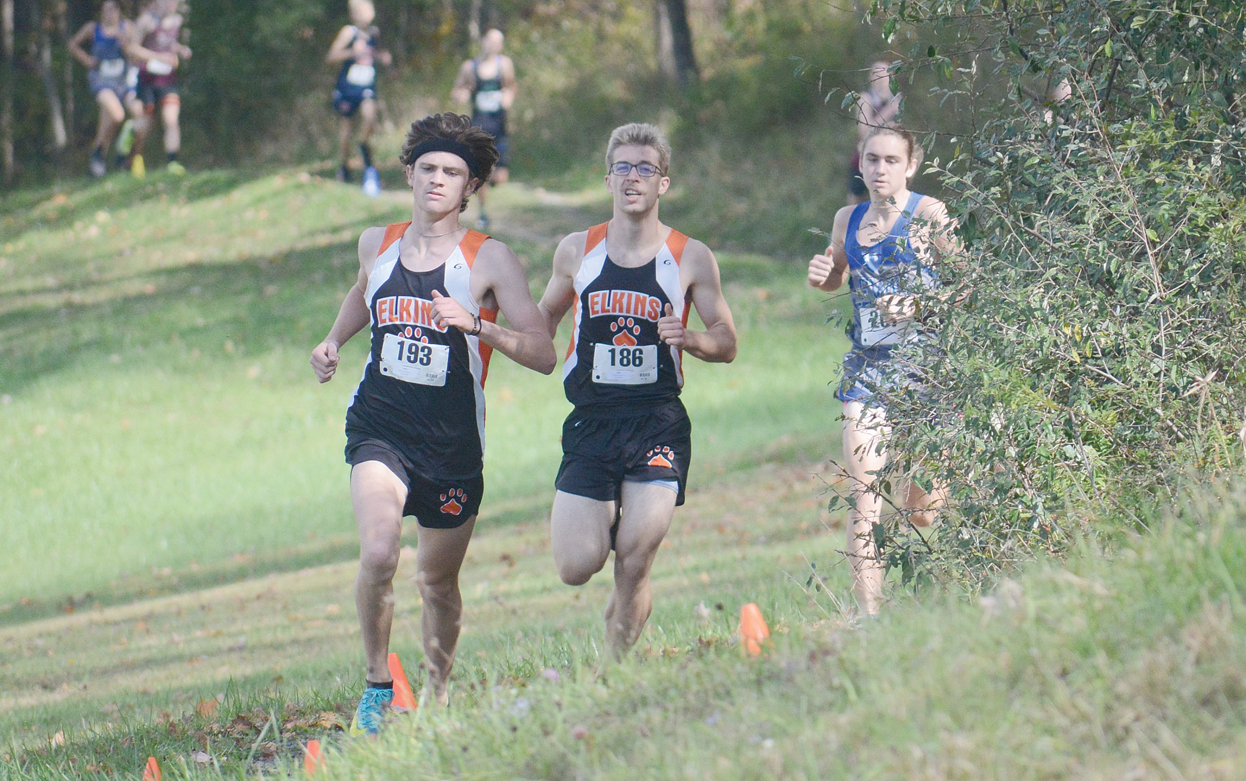 Elkins Intermountain Newspaper - ti6qlhw